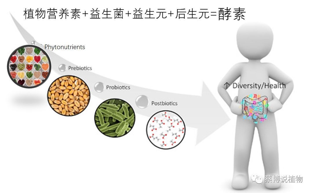 酵素进口清关有哪些监管条件